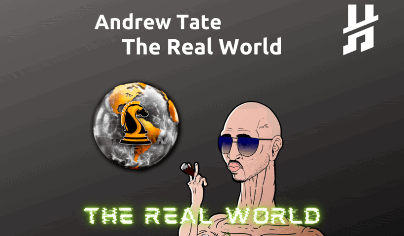 the real world tate erfahrungen