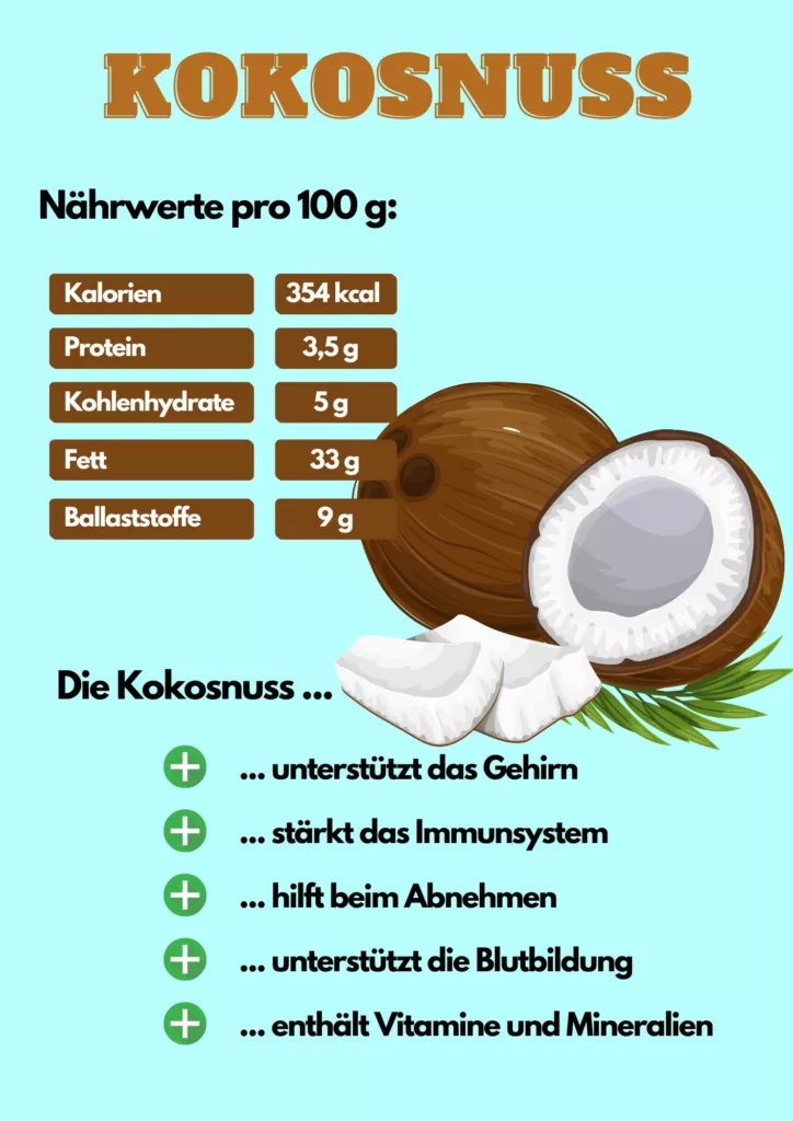 Kokosnuss gesund infografik