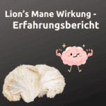 Lion's Mane wirkung und erfahrungsbericht