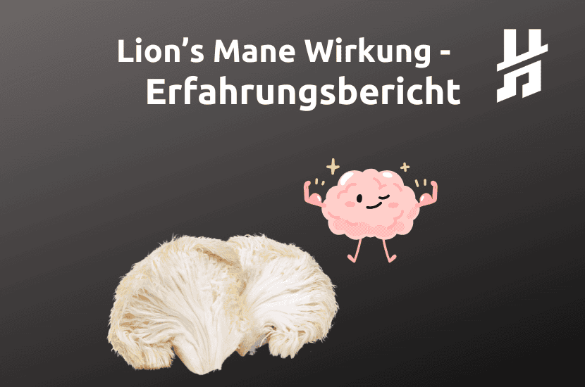 Lion's Mane wirkung und erfahrungsbericht